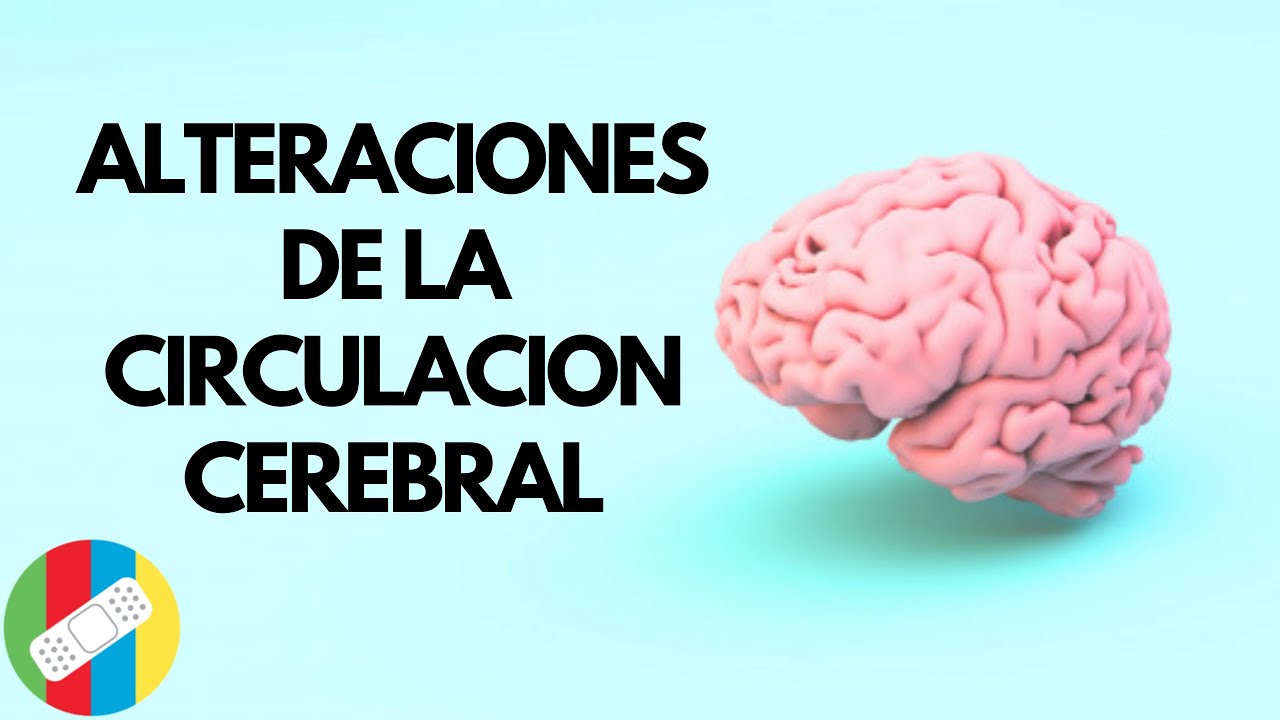 síntomas de falta de riego sanguíneo cerebral