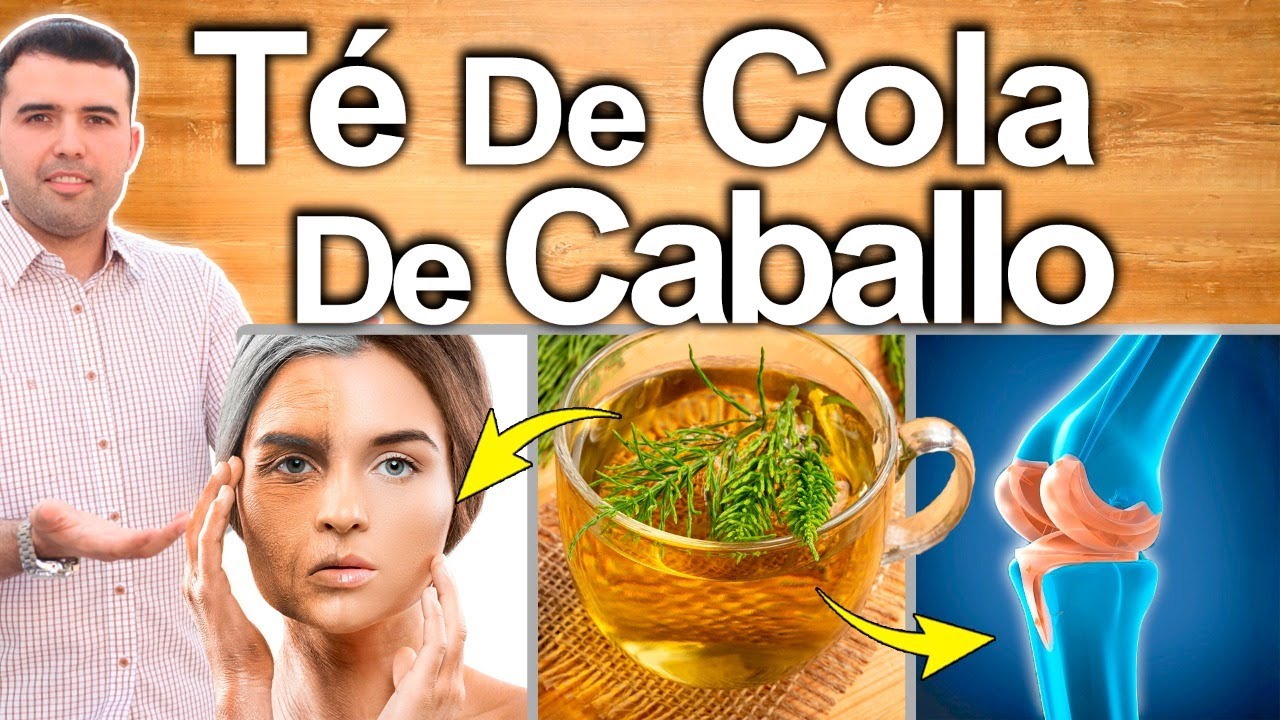 te verde y cola de caballo