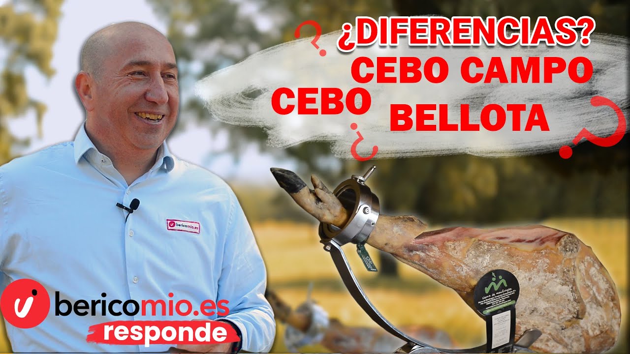cebo o recebo