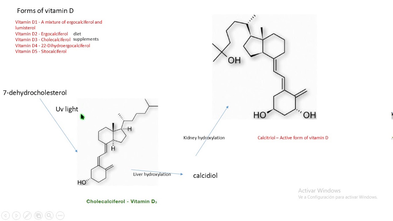 colesterol y vitamina d