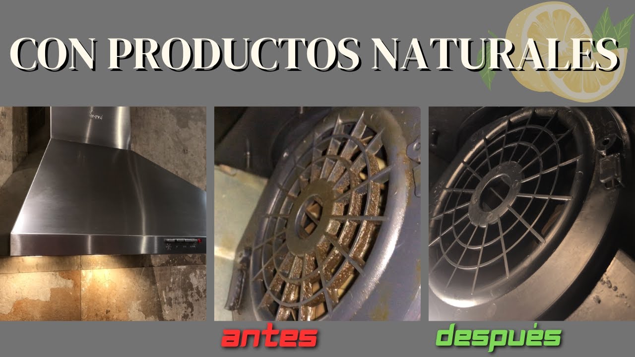 como limpiar campana extractora por dentro