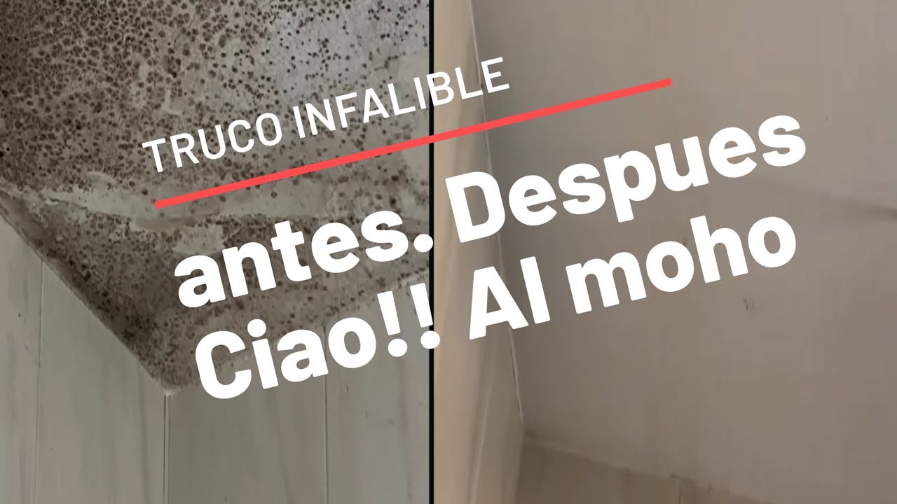 como quitar la humedad de techos y paredes