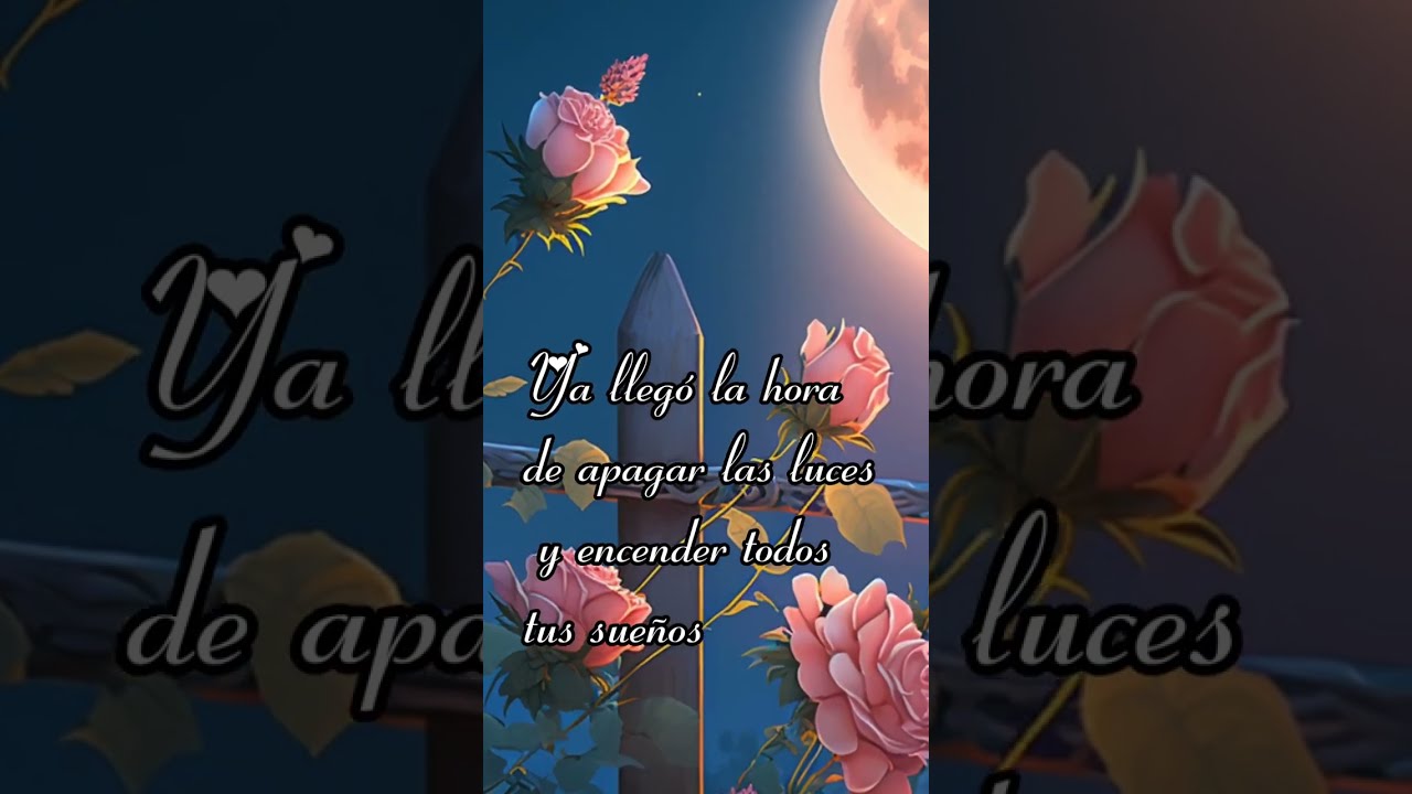 feliz noche gratis