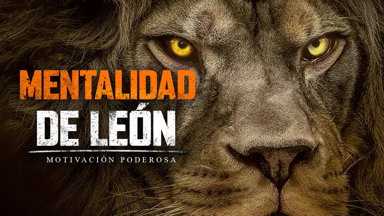 frases con leones