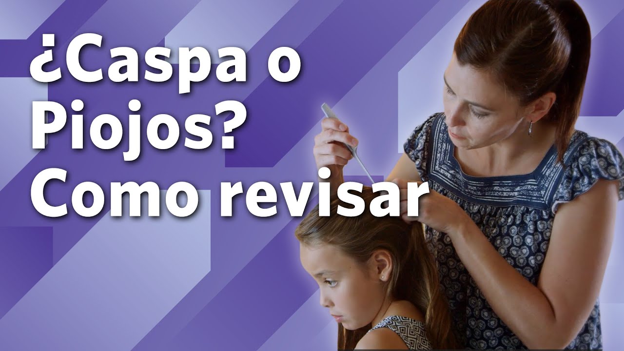 identificar liendres en liendrera