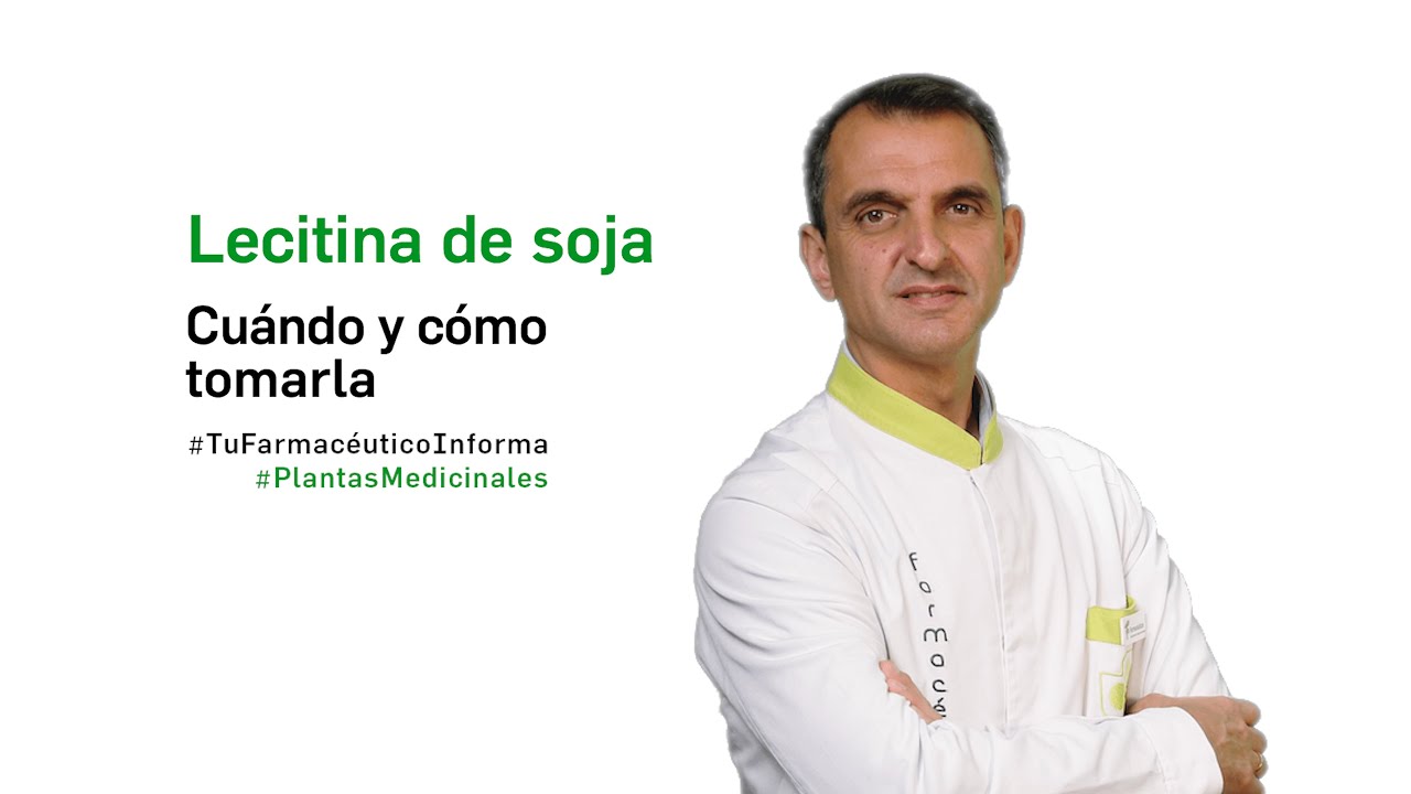 lecitina de soja colesterol