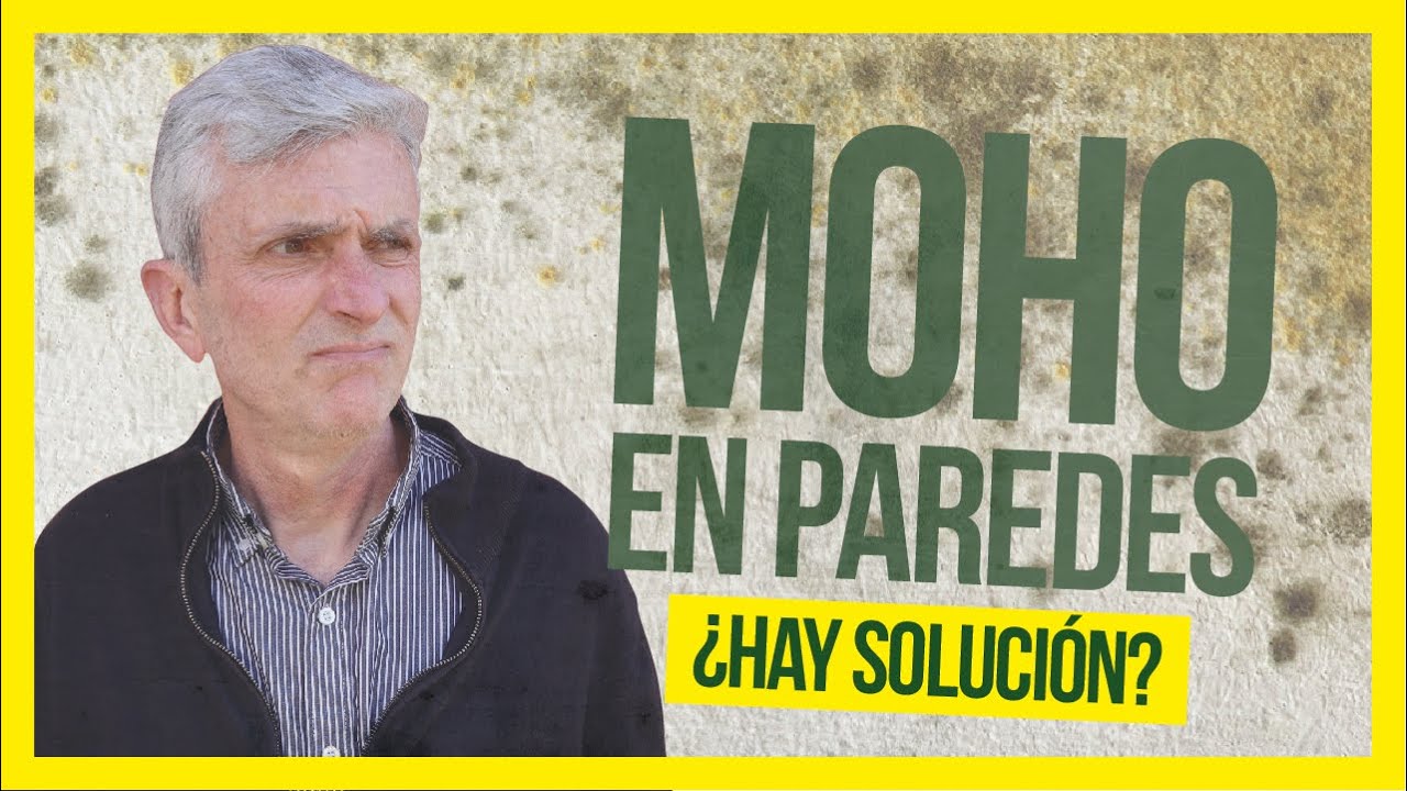 limpiar humedad pared