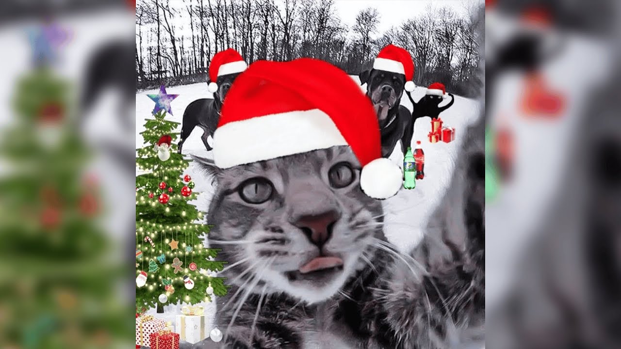 memes de navidad graciosos