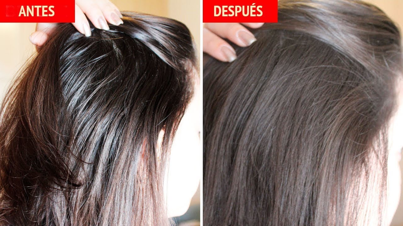 pelo graso remedios caseros