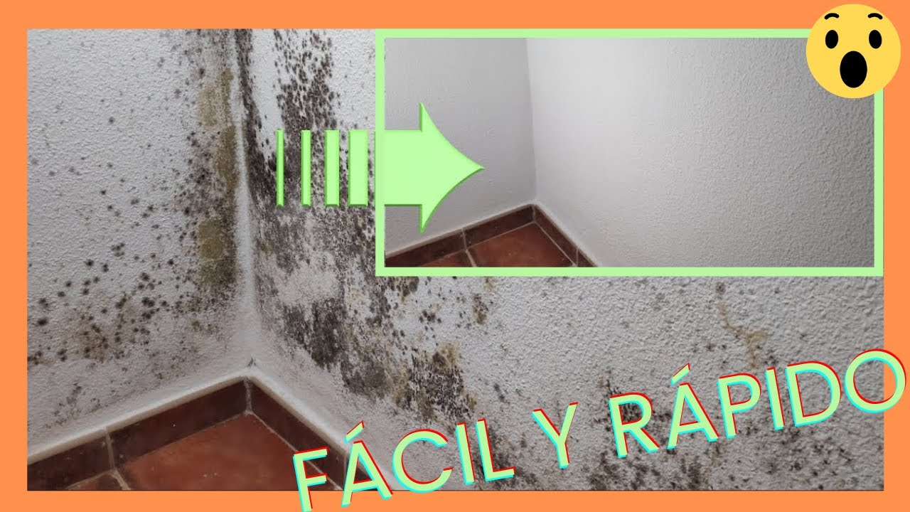quitar manchas humedad pared