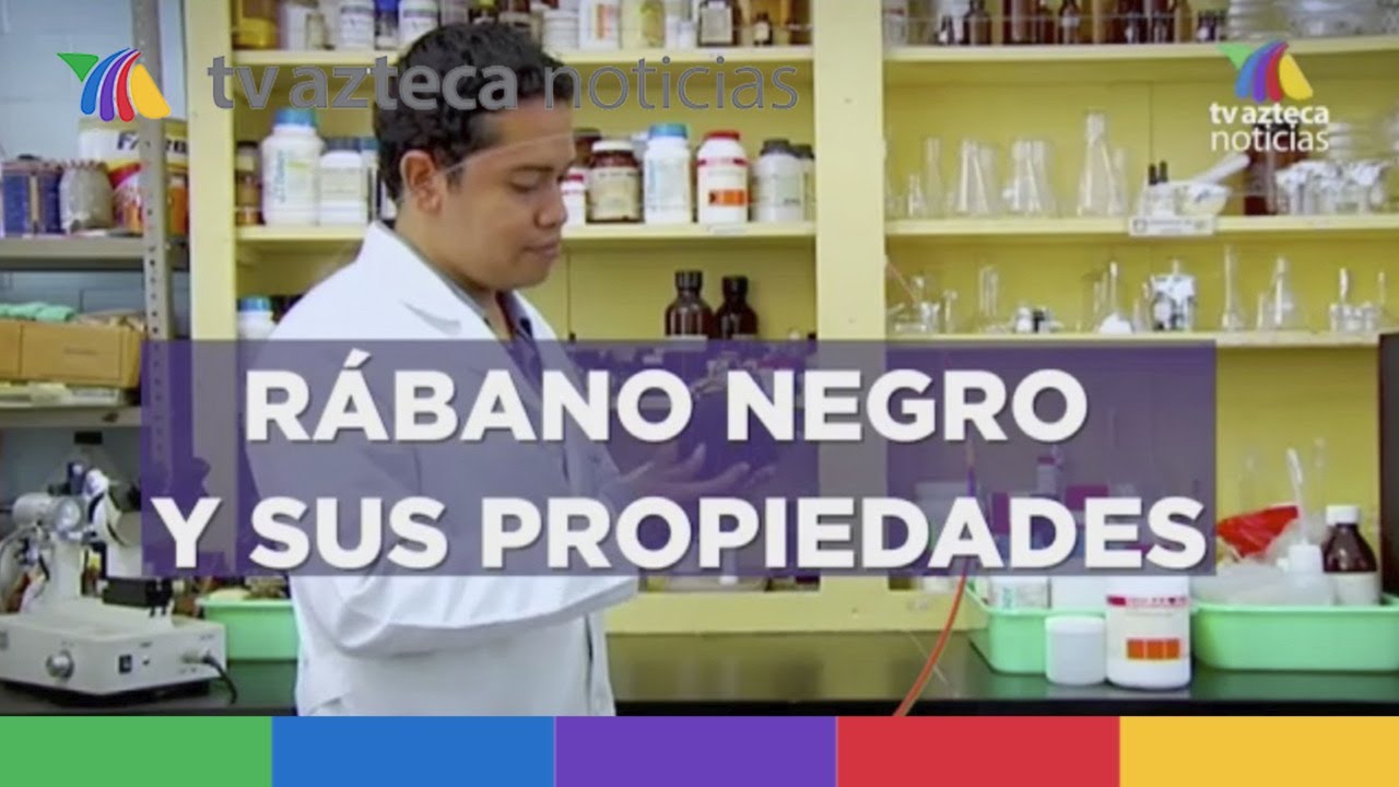 rábano negro: propiedades y contraindicaciones