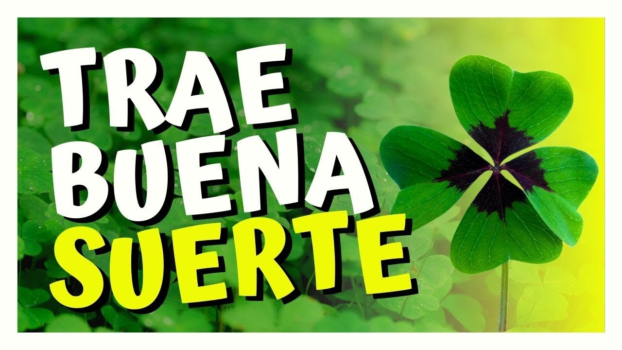 significado trebol 4 hojas