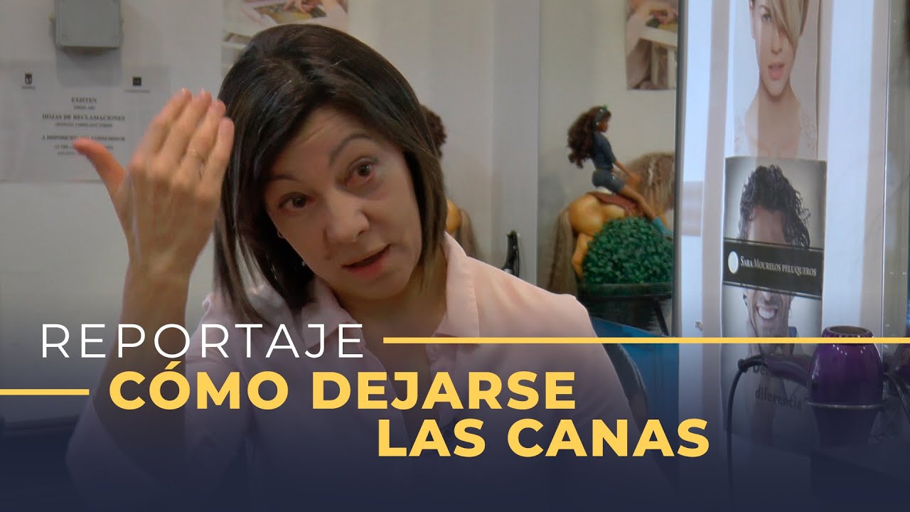 transicion a las canas